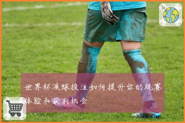 世界杯滚球投注如何提升你的观赛体验和获利机会