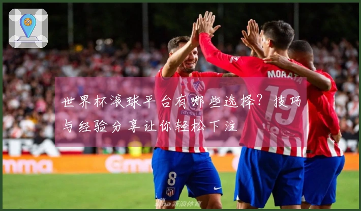 世界杯滚球平台有哪些选择？技巧与经验分享让你轻松下注