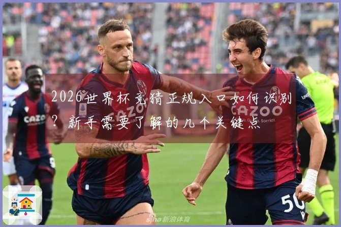 2026世界杯竞猜正规入口如何识别？新手需要了解的几个关键点