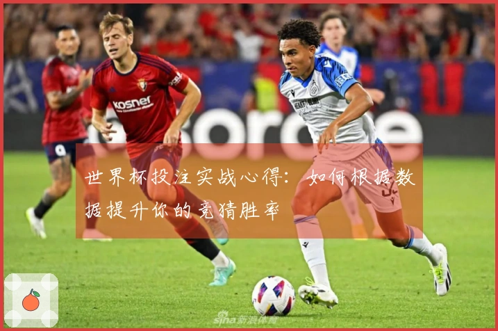 世界杯投注实战心得：如何根据数据提升你的竞猜胜率