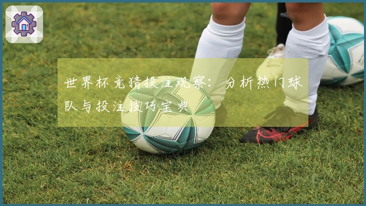 世界杯竞猜投注观察：分析热门球队与投注技巧宝典